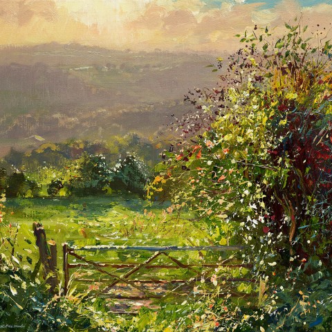 Mark Preston - Limited edition print