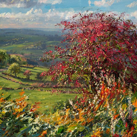 Mark Preston - Limited edition prints
