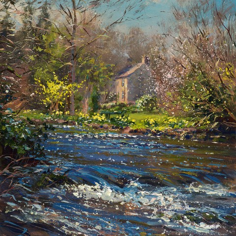 Mark Preston - Limited edition prints
