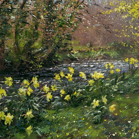 Mark Preston - Limited edition prints